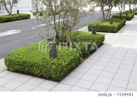 ビルの公開空地の緑化 7339481
