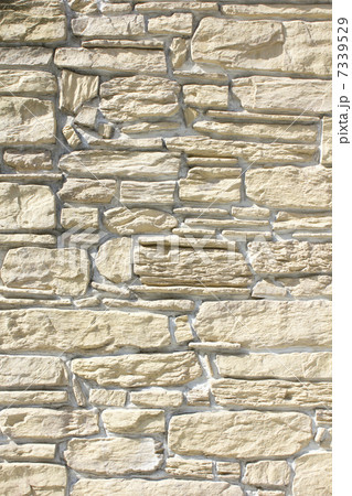 建物の壁面の化粧タイル 7339529