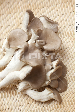 ひらたけ 7339641