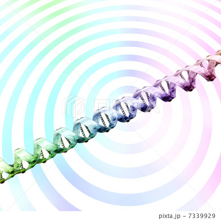 DNA・遺伝子配列のイメージ DNA・遺伝子配列のイメージ 7339929