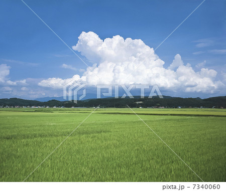 田園風景 田園風景 7340060