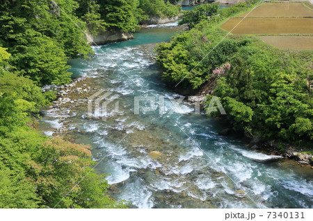 初夏の清津川 7340131