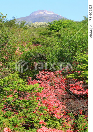 那須高原　八幡つつじ群生地展望台　那須岳遠望－湯本にて 7340132