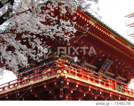 神田明神の春 7340176