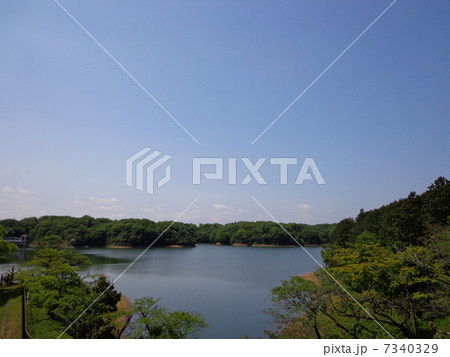 多摩湖 7340329