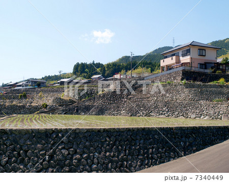 深野のだんだん田 7340449