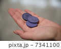 ジェトン 7341100