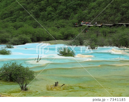 四川省黄龍 7341185