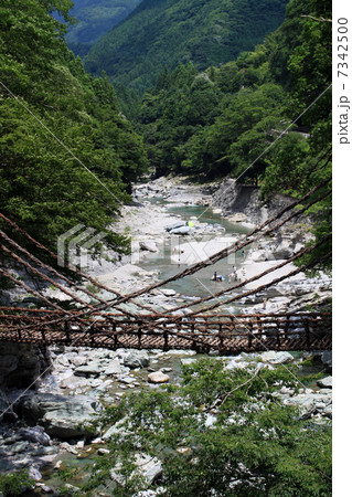 祖谷渓かずら橋 7342500