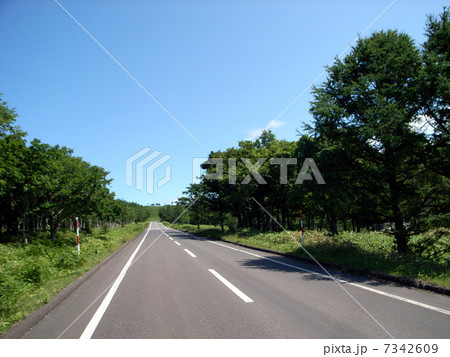 自然の中の直線道路！ 7342609