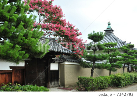 京都 浄福寺の夏 京都 浄福寺の夏 7342792