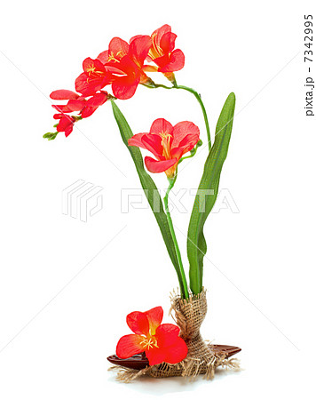 Still life from artificial freziya flowers. 7342995