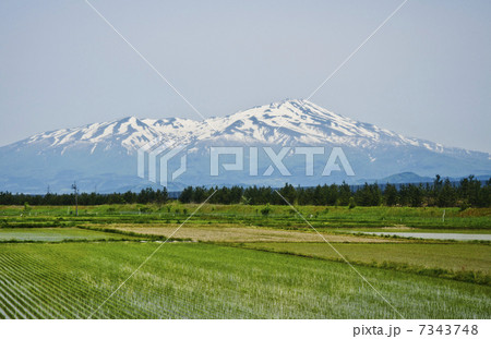 車中から望む水田と鳥海山 車中から望む水田と鳥海山 7343748
