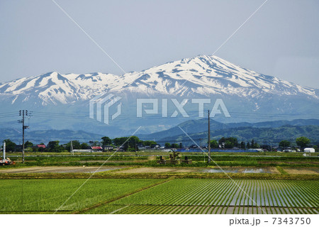 車中から望む水田と鳥海山 車中から望む水田と鳥海山 7343750