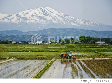 車中から望む水田と鳥海山 車中から望む水田と鳥海山 7343751