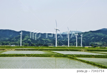 車中から望む水田と風車 7343754