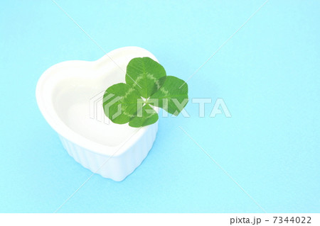 四葉のクローバー 7344022