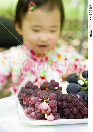 葡萄うれしい 葡萄うれしい 7344162