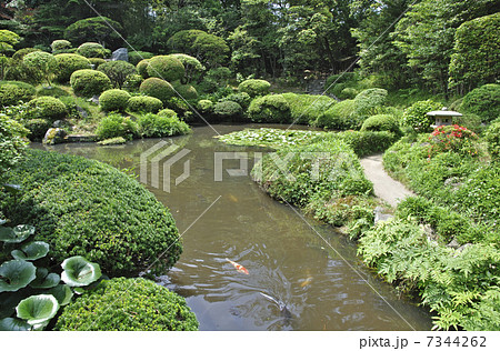初夏の酒田・本間美術館 庭園 初夏の酒田・本間美術館 庭園 7344262