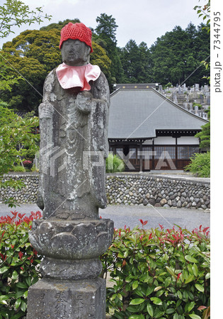 青梅散歩・曹洞宗　光明寺 7344795