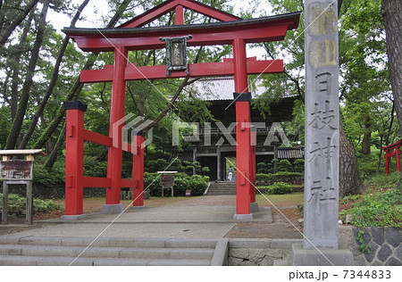 初夏の酒田 日枝神社 山王鳥居の写真素材