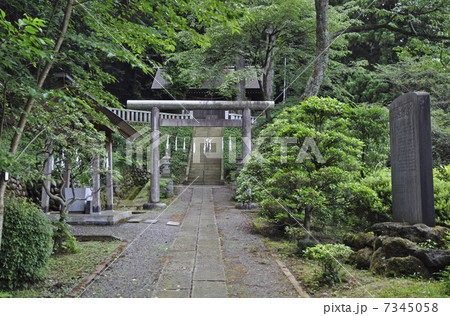 青梅散歩・神明社 青梅散歩・神明社 7345058