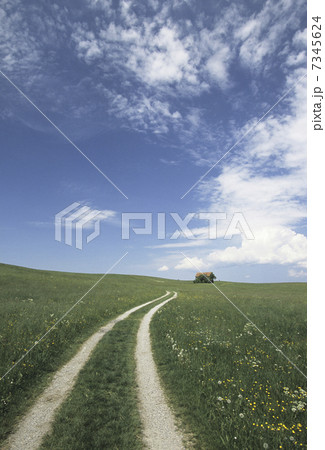 草原の道 草原の道 7345624