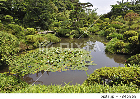 初夏の酒田・本間美術館　庭園 7345868