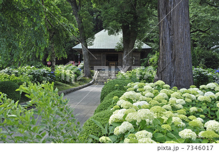 青梅散歩・塩船観音寺　阿弥陀堂 7346017