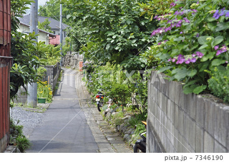 青梅散歩・青梅宿の小路 青梅散歩・青梅宿の小路 7346190