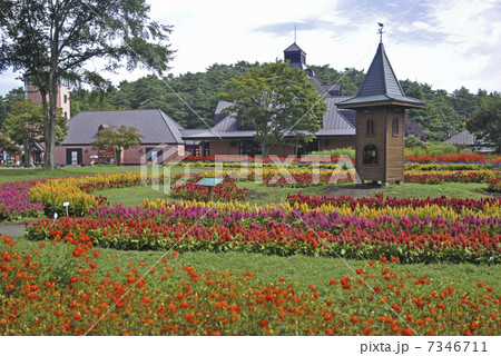 初秋の小岩井農場・まきば園 初秋の小岩井農場・まきば園 7346711