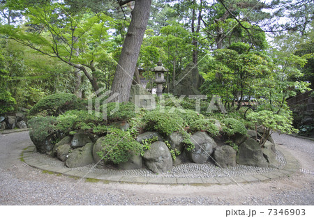 初夏の酒田・本間美術館　庭園 7346903