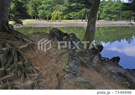 岩手県　平泉・毛越寺　大泉が池と築山 7346996