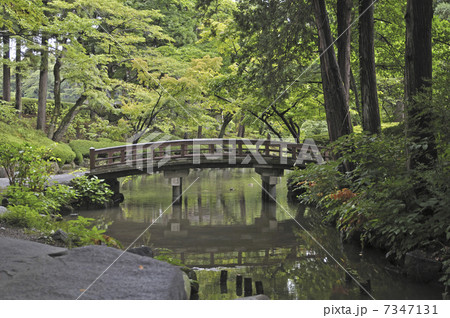 初秋の盛岡・盛岡城跡公園 鶴ヶ池 初秋の盛岡・盛岡城跡公園 鶴ヶ池 7347131