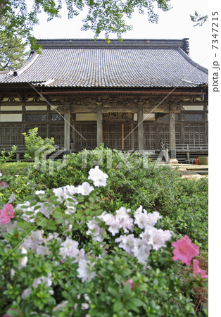 初夏の酒田・淨福寺　本堂 7347215