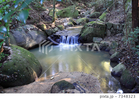 讃岐国二宮「大水上神社」の雨乞神事遺跡「うなぎ淵(竜王淵)」 讃岐国二宮「大水上神社」の雨乞神事遺跡「うなぎ淵(竜王淵)」 7348323