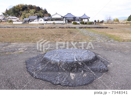 飛鳥、史跡「川原寺跡」の南大門礎石から中門、中金堂方面を見る 7348341