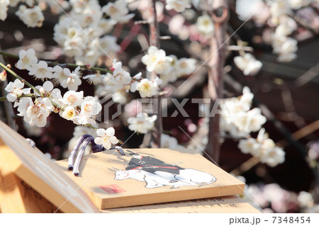 合格祈願の絵馬 合格祈願の絵馬 7348454