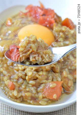 ドライカレー 7348524
