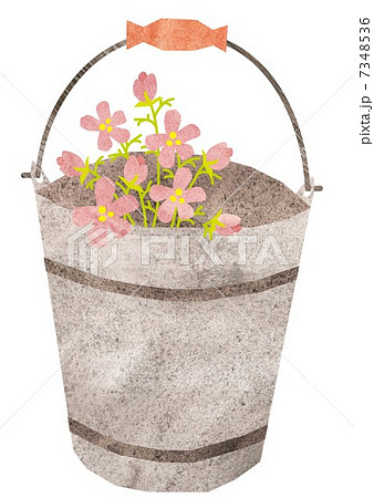 花が入ったバケツ 7348536