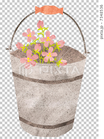 花が入ったバケツ 7348536