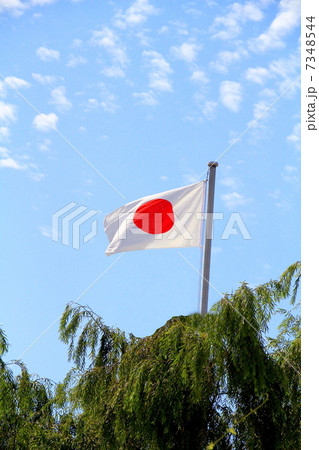 国旗 7348544