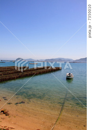 カキイカダ 7350010