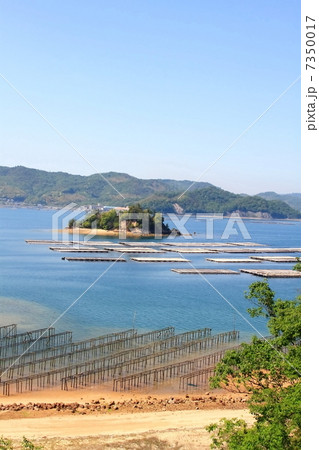 カキイカダ カキイカダ 7350017