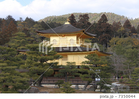 京都金閣寺 7350044