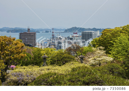 塩釜神社境内からの塩釜港 7350086