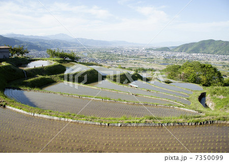 善光寺平と姨捨の棚田 善光寺平と姨捨の棚田 7350099