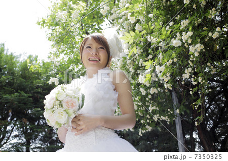 ブライダル 7350325