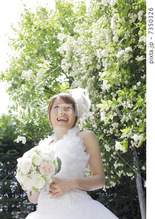 ブライダル 7350326