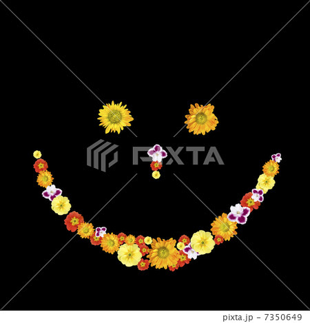 decorative smile symbol from color flowers 7350649